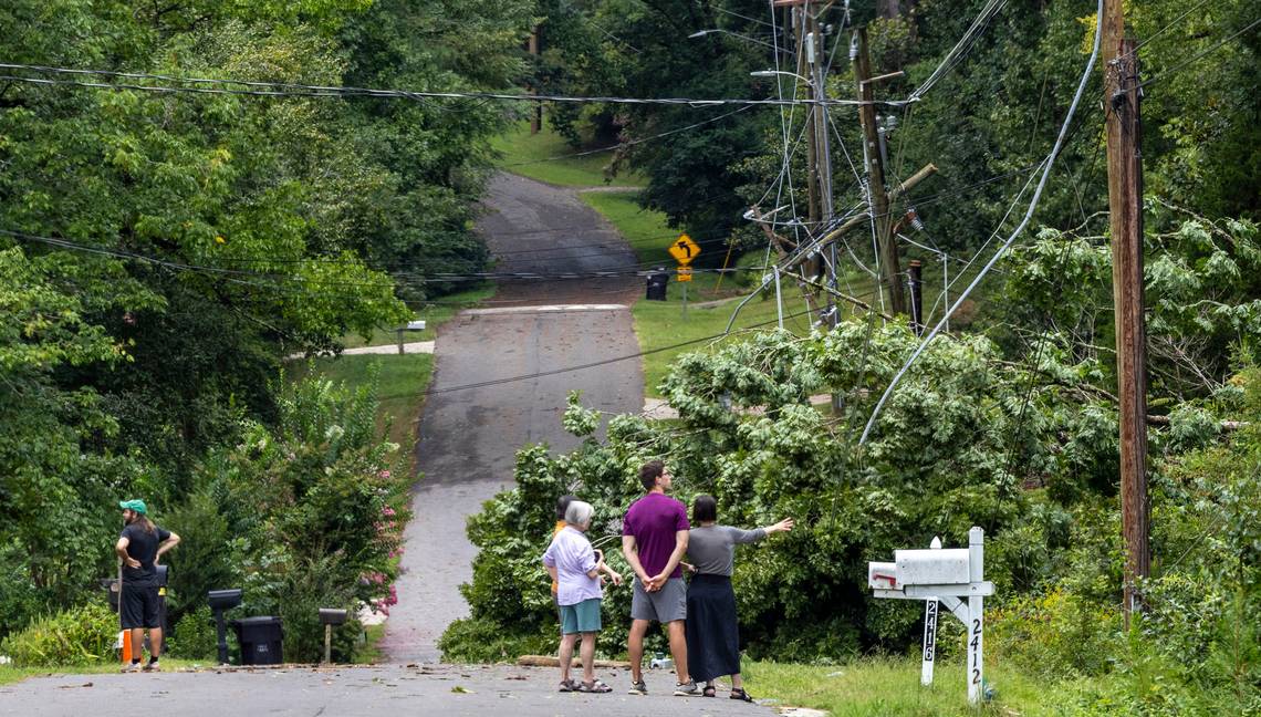 a group of people around a downed tree and power lines